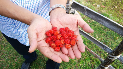 Top 20 cửa hàng làm đẹp Huyện Ba Tơ Quảng Ngãi 2022