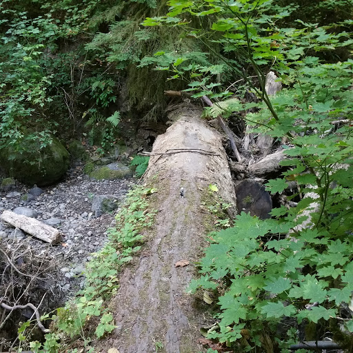 Park «MacLeay Park Entrance», reviews and photos, 2960 NW Upshur St, Portland, OR 97210, USA