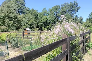 The Cherokee Garden At Green Meadows Preserve image