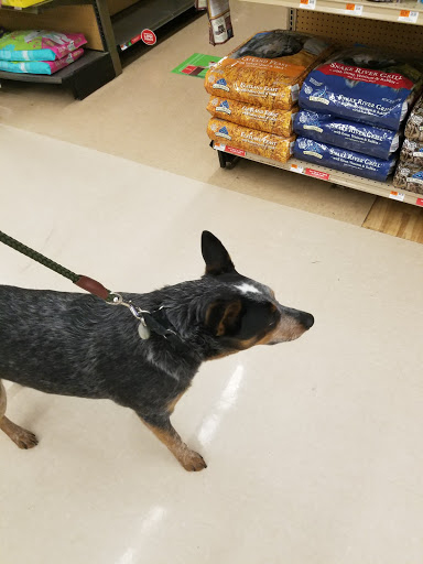 Pet Supply Store «Petco Animal Supplies», reviews and photos, 239 Newburyport Turnpike, Topsfield, MA 01983, USA