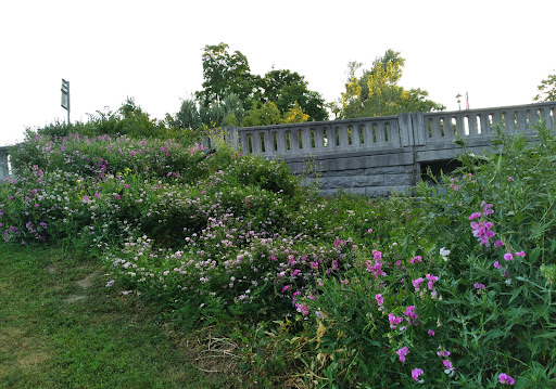 Nature Preserve «Canawaugus Park», reviews and photos, Rochester St, Scottsville, NY 14546, USA