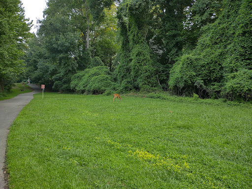 Greenway Trail North Hills