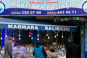 Marmara Balıkçısı image