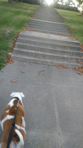 Park «Inwood Park», reviews and photos, 2308 Vine St, Cincinnati, OH 45219, USA