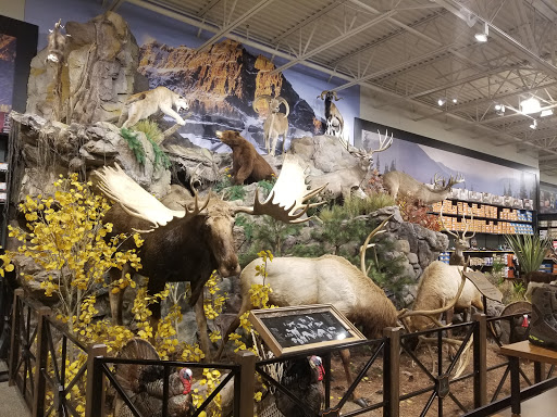 Outdoor Sports Store «Field & Stream», reviews and photos, 24600 Katy Fwy Ste 1100B, Katy, TX 77493, USA