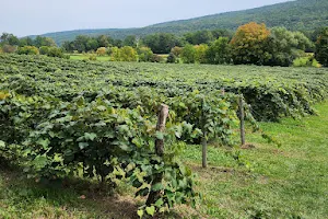 Naples Grape Festival image