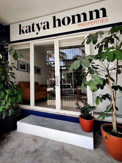 Katya Homm Properties