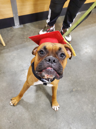 Pet Supply Store «PetSmart», reviews and photos, 1236 Greenbrier Pkwy, Chesapeake, VA 23320, USA