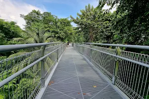 Canopy Walk image