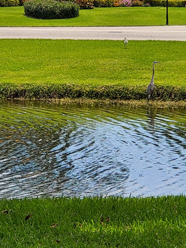 Golf Club «Old Marsh Golf Club», reviews and photos, 7500 Old Marsh Rd, Palm Beach Gardens, FL 33418, USA