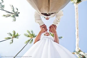 Wedding Tropics image