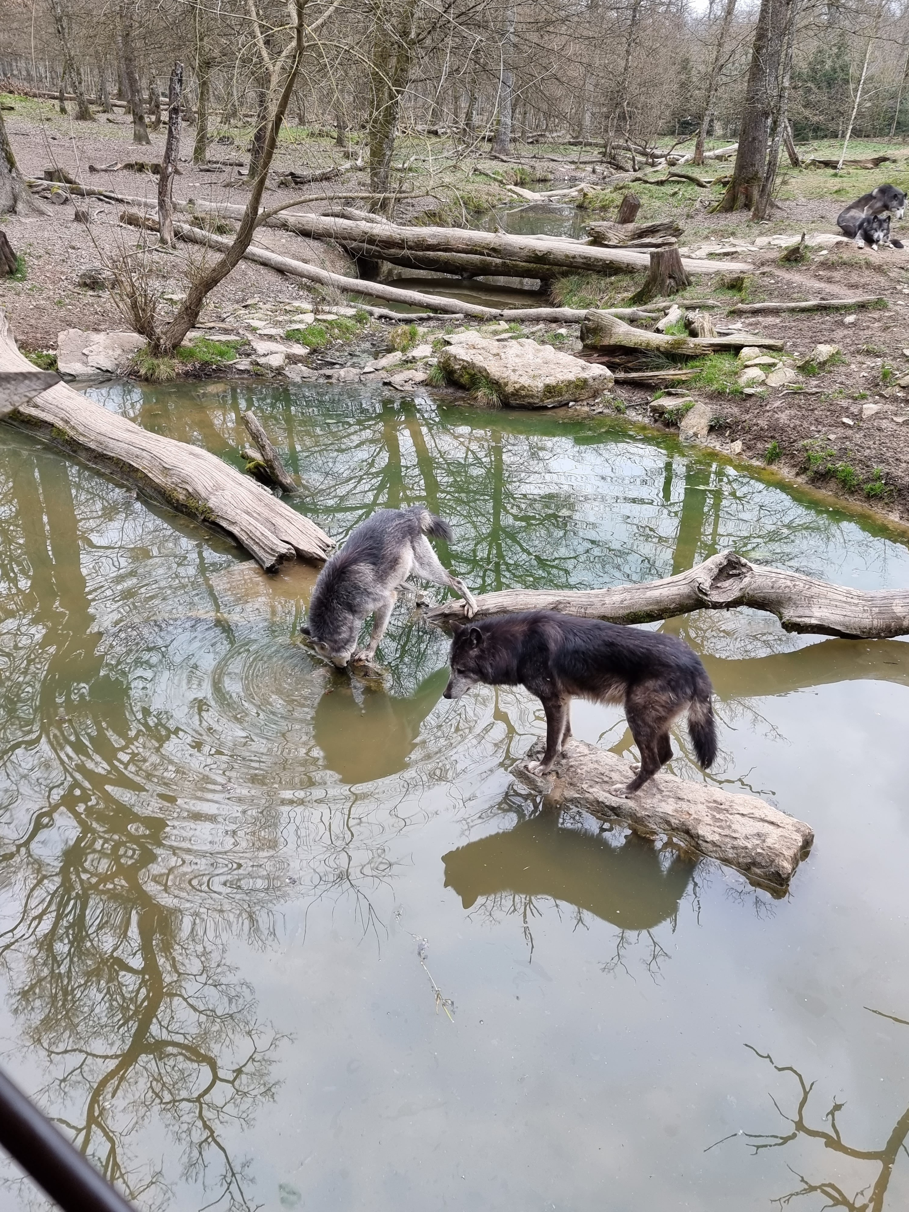Photo n° 23 de l'avis de percque.a fait le 12/03/2023 à 16:11