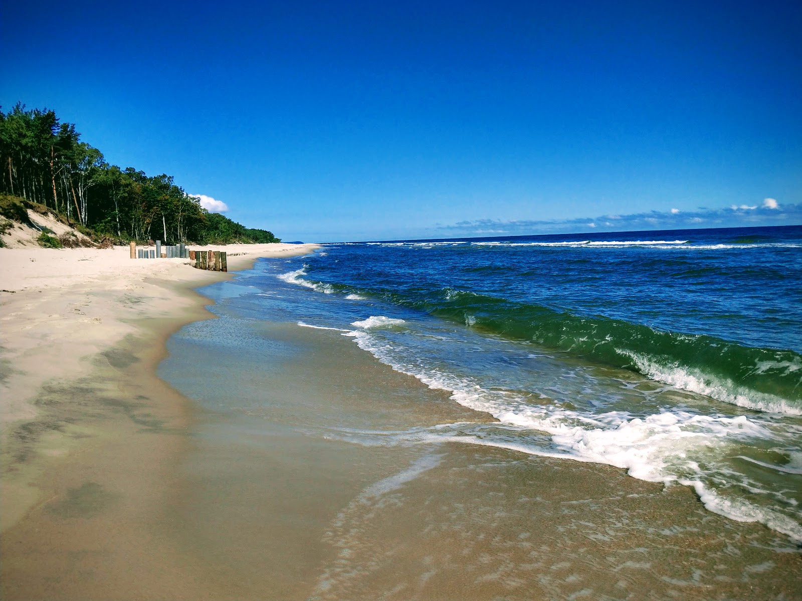Kuznica Dog Beach的照片 带有碧绿色纯水表面