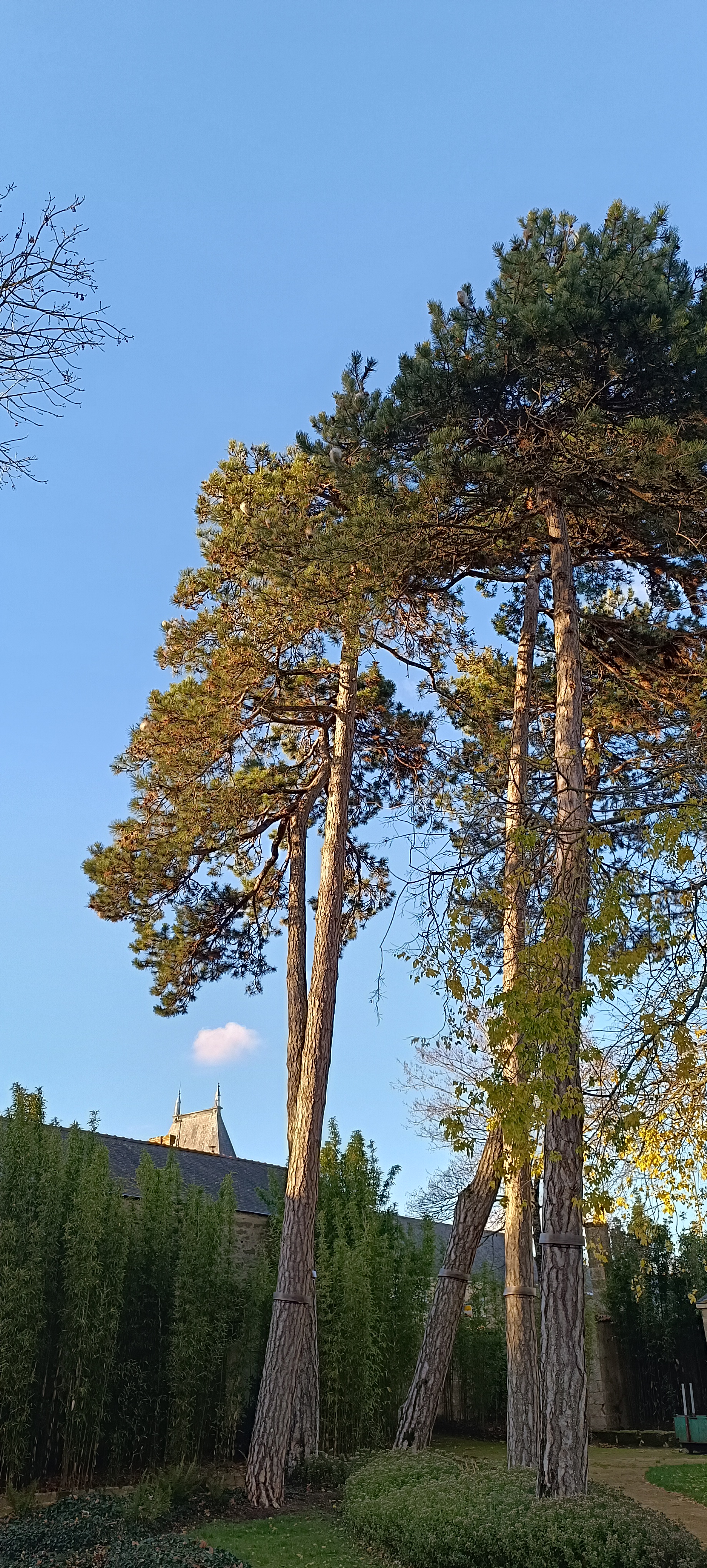 Photo n° 6 de l'avis de Frédéric.i fait le 25/11/2023 à 17:16