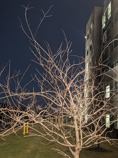 Casino «Rivers Casino & Resort Schenectady», reviews and photos, 1 Rush St, Schenectady, NY 12308, USA