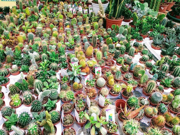 Zizurbide Tu centro de jardineria mas cercano