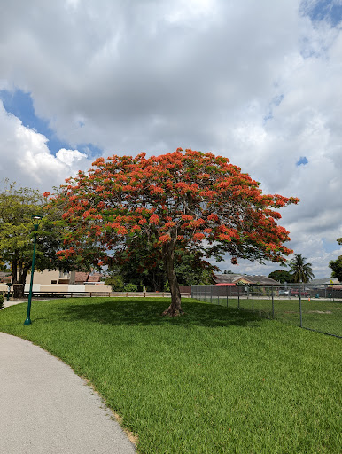 Park «Sugarwood Park», reviews and photos, 14551 SW 100th St, Miami, FL 33186, USA