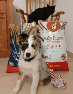 Husse 29 - Croquettes et soins naturels chiens, chats et chevaux à Hanvec