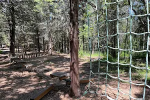 parcours d'aventure en forêt ( créatios dans les arbres ) image