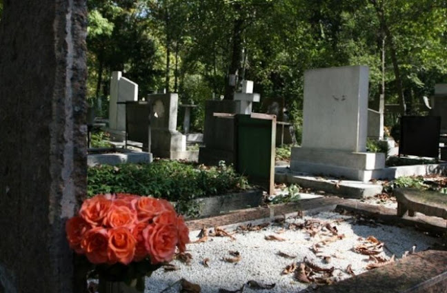 Отзиви за Гробищен парк Шумен в Шумен - Погребална агенция