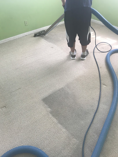Pro dry carpet cleaning