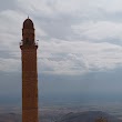 Mardin Büyükşehir Belediyesi Sosyal Hizmetler Daire Başkanlığı