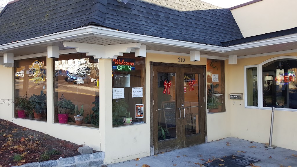 Azteca Paradise 10523