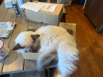 All American Plumbing and Drain - Photo 2 - Car repair in , Oxnard