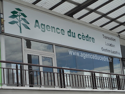 Agence du cèdre à Noisy-le-Roi