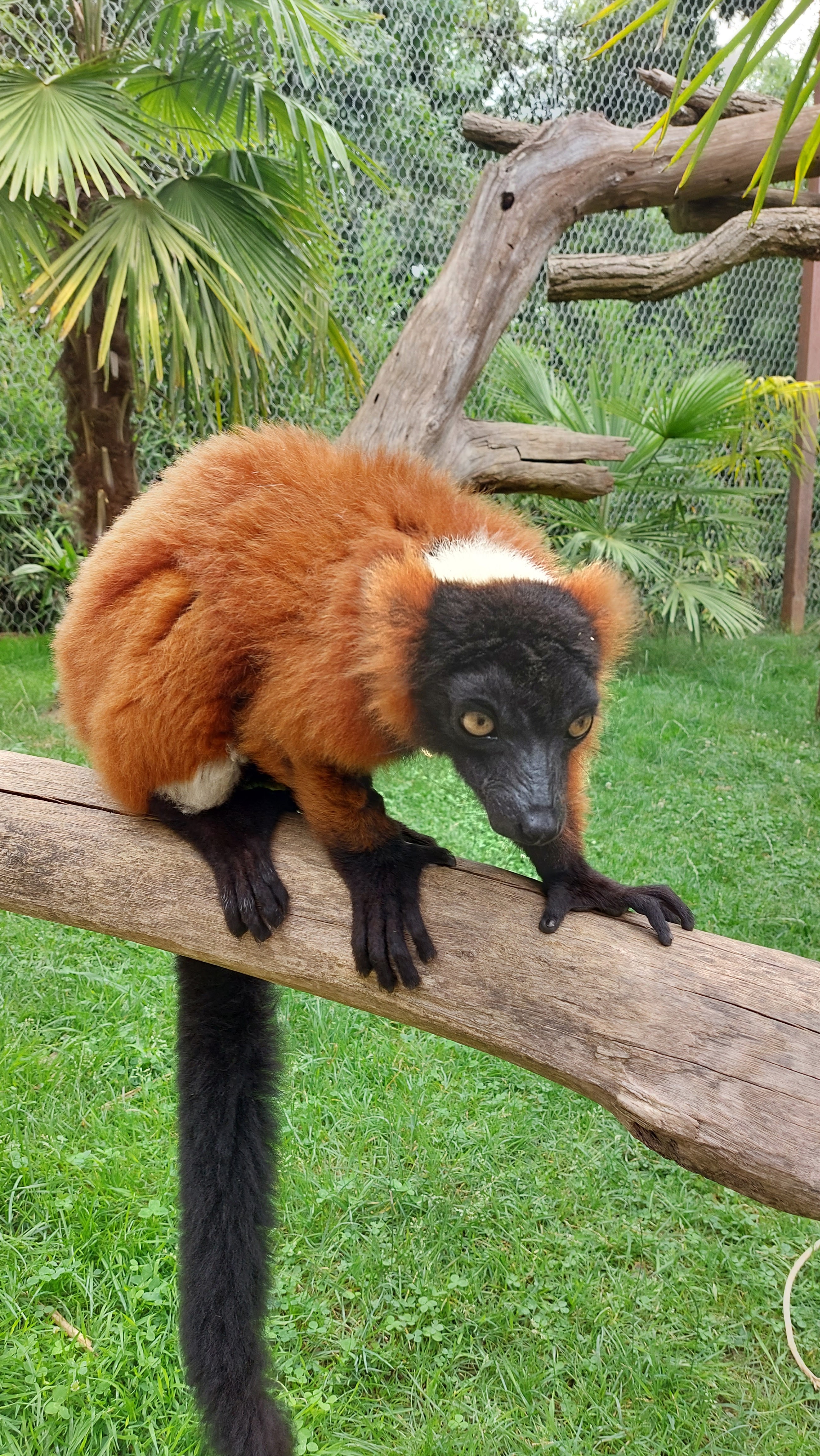 Photo n° 1 de l'avis de Frederick.e fait le 06/07/2022 à 18:45