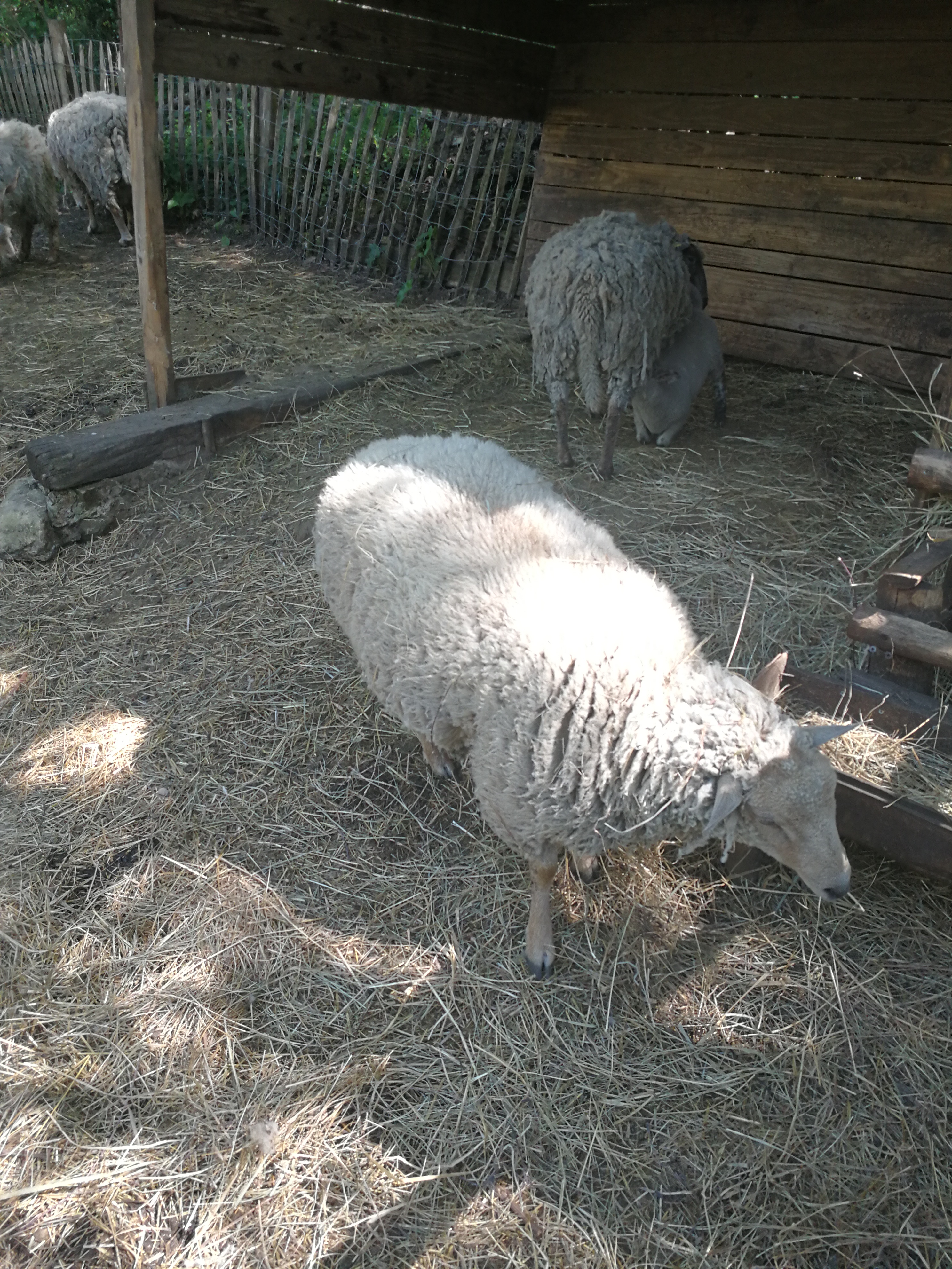 Photo n° 15 de l'avis de Sostaire.e fait le 23/04/2018 à 19:06