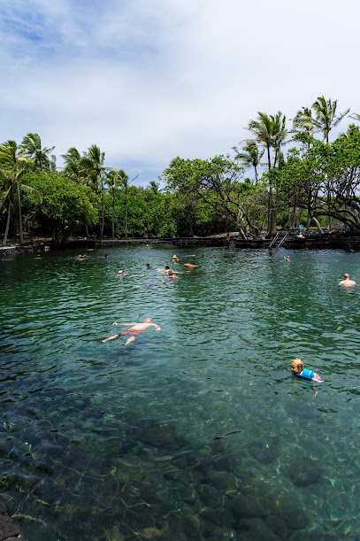Pohoiki Bay and Hot Spring