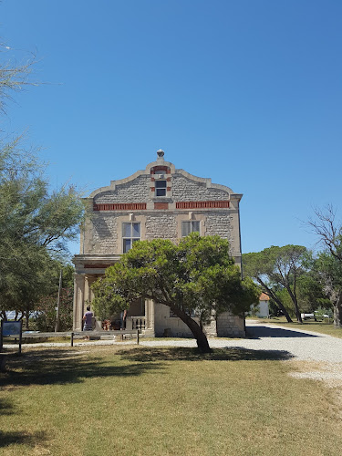 attractions Domaine de la Palissade Salin de Giraud