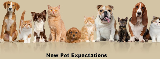 Layton Veterinary Hospital, A Thrive Pet Healthcare Partner image