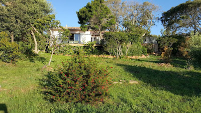 Villa bord de mer Sainte Lucie de Porto Vecchio à Zonza