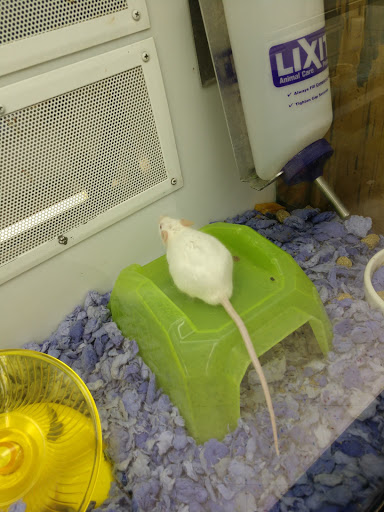 Pet Supply Store «Petco Animal Supplies», reviews and photos, 5481 Lone Tree Way, Brentwood, CA 94513, USA