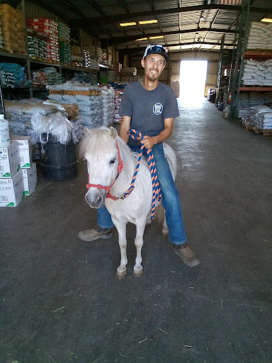Pet Supply Store «Silva Ranches Feed Store», reviews and photos, 12310 Santa Teresa Blvd, San Martin, CA 95046, USA