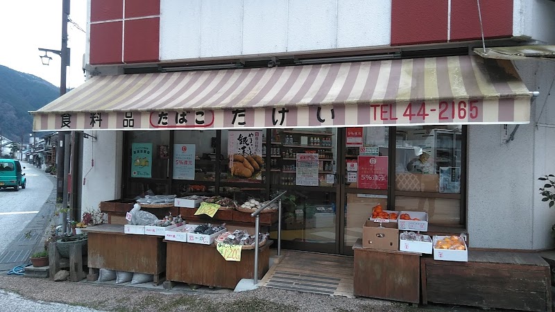 竹井食料品店