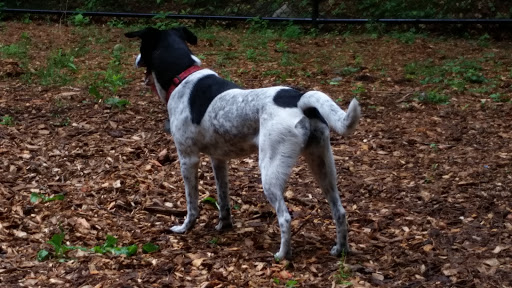 State Park «Breakheart Reservation», reviews and photos, 177 Forest St, Saugus, MA 01906, USA