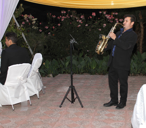Saxo.cl, Saxofonistas, Orquesta para Matrimonios y Eventos, Cantantes, Músicos - Organizador de eventos