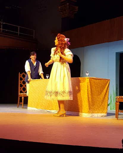 Performing Arts Theater «Schenectady Light Opera Co», reviews and photos, 427 Franklin St, Schenectady, NY 12305, USA