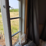 Photo n°4 de l'avis de Albert.i fait le 24/07/2018 à 09:06 sur le  Weinschlafwagen à Langenlonsheim