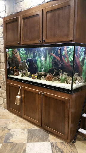 Aquarium Shop «Something Fishy Inc.», reviews and photos, 4764 State Rd, Cleveland, OH 44109, USA