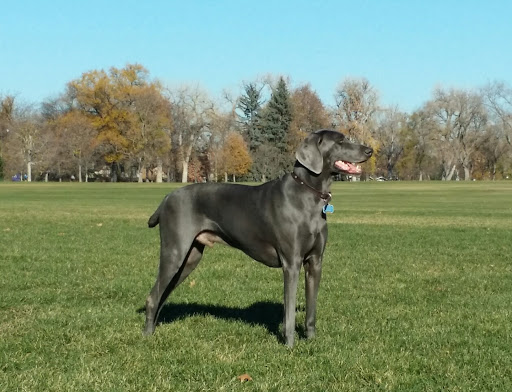 Park «Washington Park», reviews and photos, 701 S Franklin St, Denver, CO 80209, USA