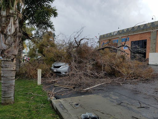 Auto Body Shop «Arseen Auto Body Inc», reviews and photos, 1655 Little Orchard St, San Jose, CA 95125, USA