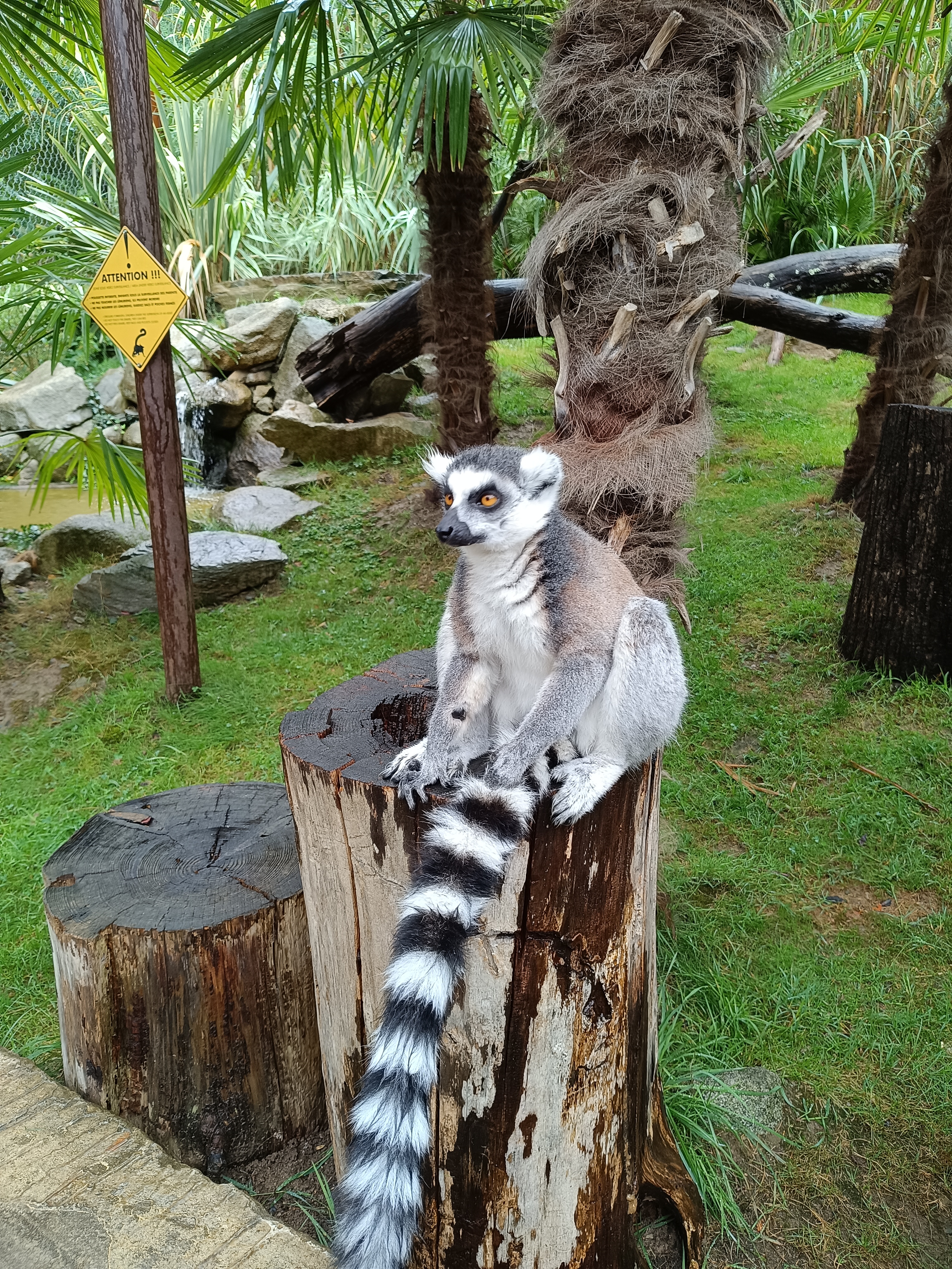 Photo n° 9 de l'avis de David.o fait le 10/09/2023 à 17:07