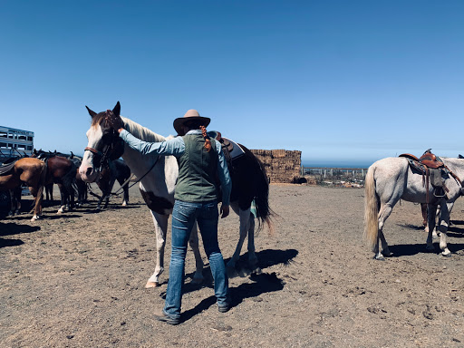 Stable «Ross Ranch», reviews and photos, 28300 Philo Greenwood Rd, Elk, CA 95432, USA