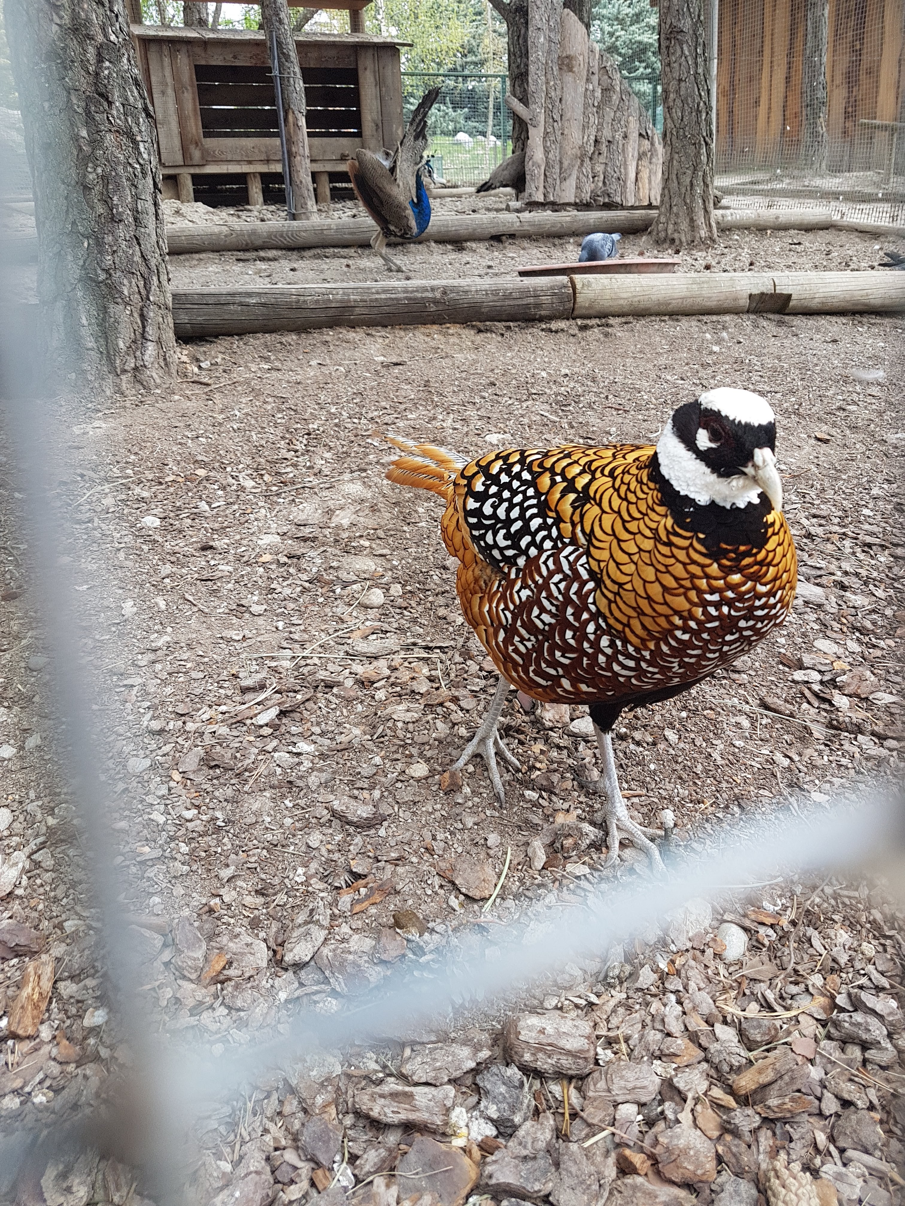 Photo n° 1 de l'avis de Camille.o fait le 11/04/2017 à 15:53