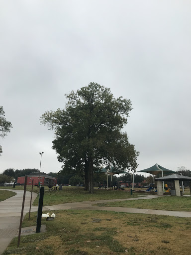 Park «Carl Knox, Jr. Park», reviews and photos, 1200 Susan Dr, Arlington, TX 76011, USA