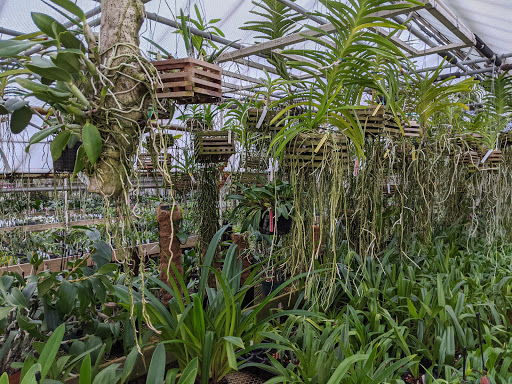 Florist «Little Brook Orchids», reviews and photos, 25 Rider Ave, Lancaster, PA 17603, USA